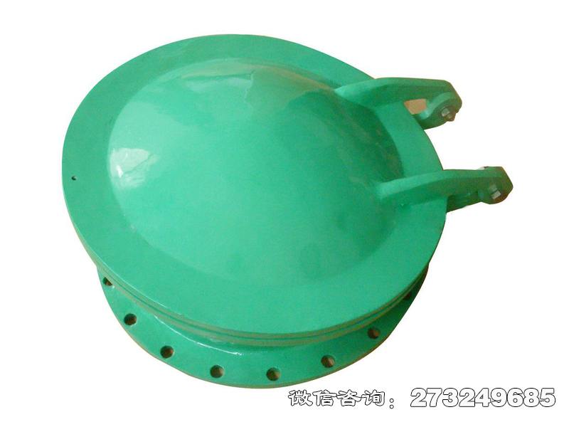 漳县耐腐蚀管道玻璃钢拍门