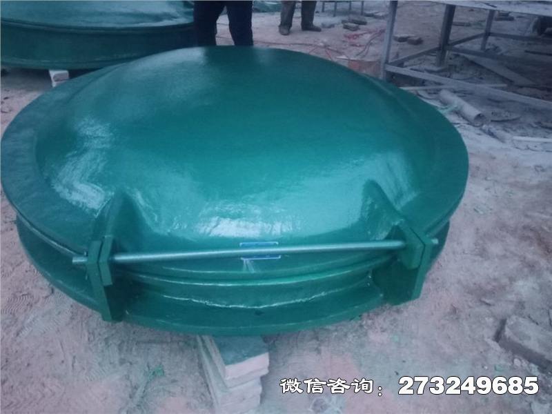 漳县轻质玻璃钢拍门