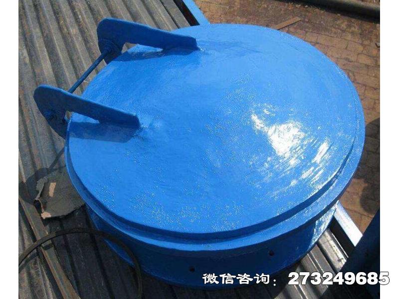 若尔盖县污水管用玻璃钢拍门
