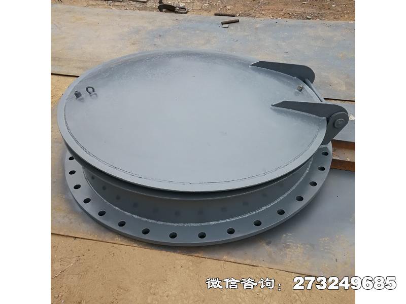 漳县不锈钢法兰连接拍门