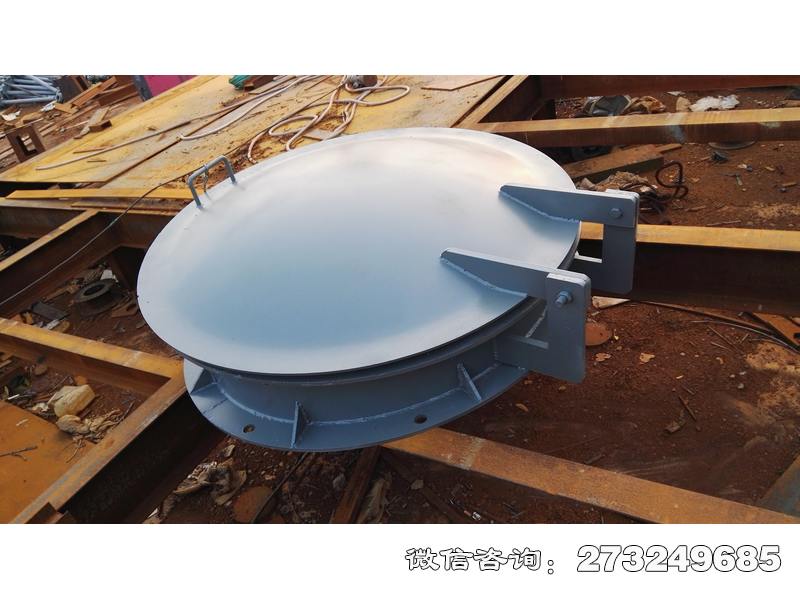 浦东新水渠管道钢制拍门