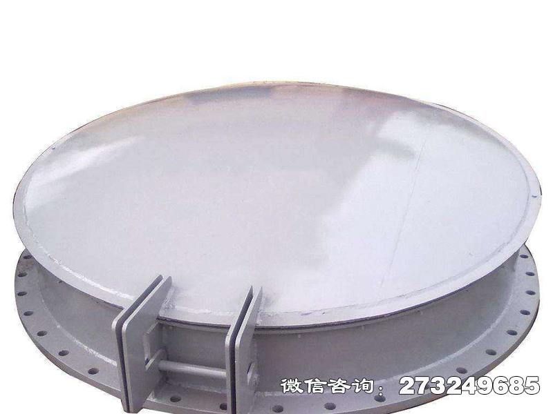 郊铸铁钢制拍门
